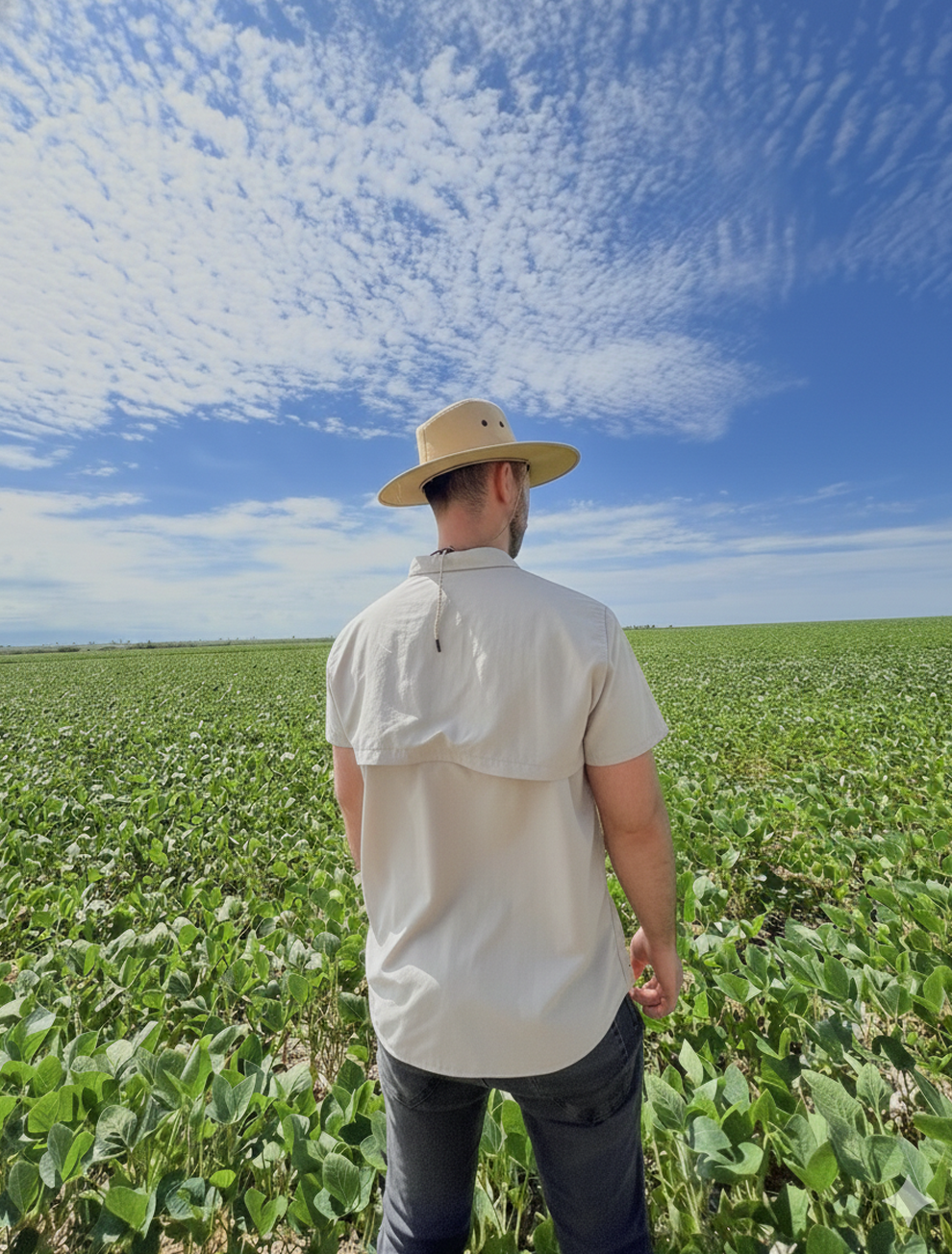 Camisa Mustang Manga Curta - Carbon